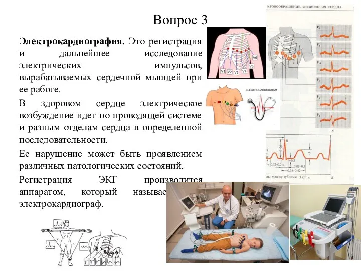 Электрокардиография. Это регистрация и дальнейшее исследование электрических импульсов, вырабатываемых сердечной