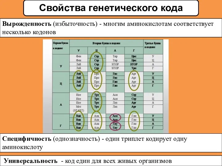 Вырожденность (избыточность) - многим аминокислотам соответствует несколько кодонов Специфичность (однозначность)