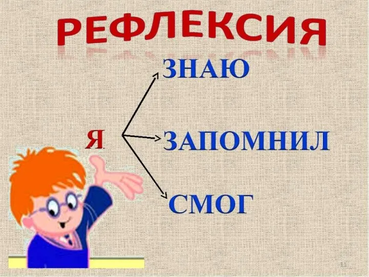 Роль белков в жизни клетки огромна. Современная биология показала, что