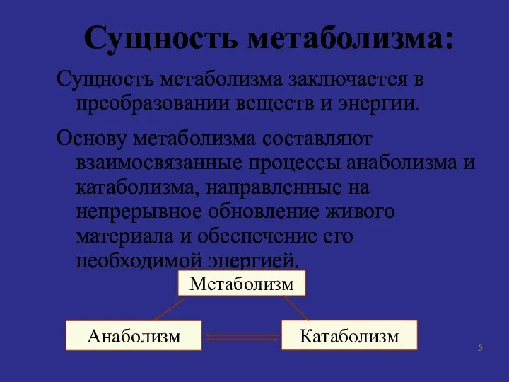 Сущность метаболизма: Сущность метаболизма заключается в преобразовании веществ и энергии.