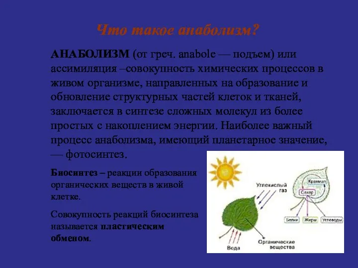 Что такое анаболизм? АНАБОЛИЗМ (от греч. anabole — подъем) или