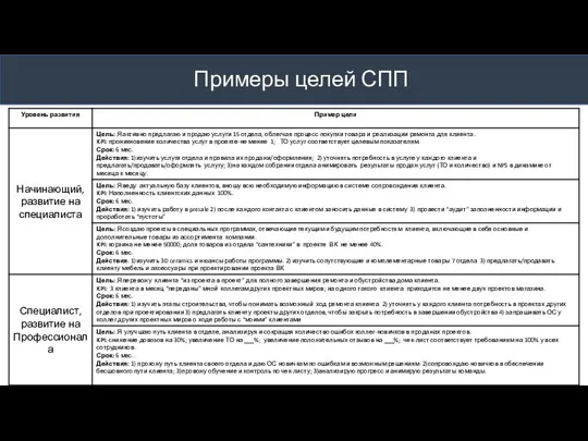 Примеры целей СПП