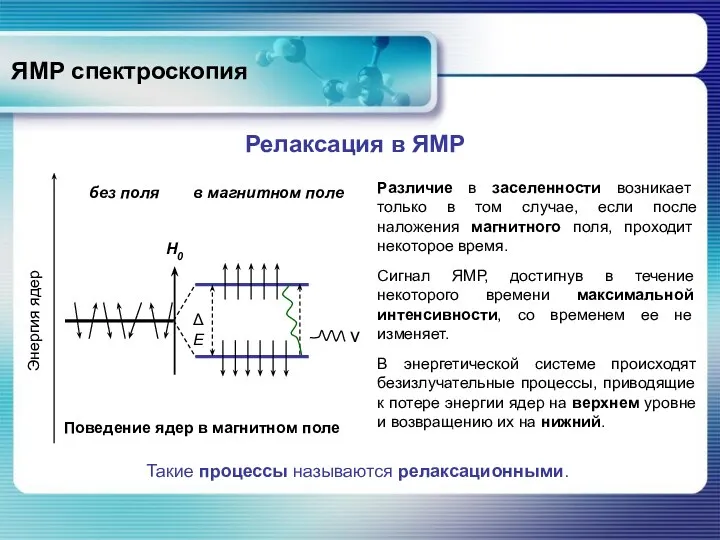 ЯМР спектроскопия Релаксация в ЯМР в магнитном поле Поведение ядер