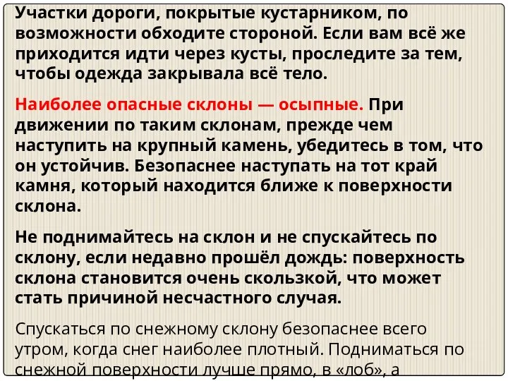 Участки дороги, покрытые кустарником, по возможности обходите стороной. Если вам