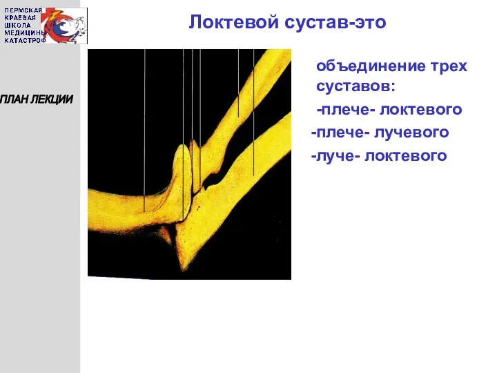 Локтевой сустав-это ПЛАН ЛЕКЦИИ объединение трех суставов: -плече- локтевого плече- лучевого луче- локтевого
