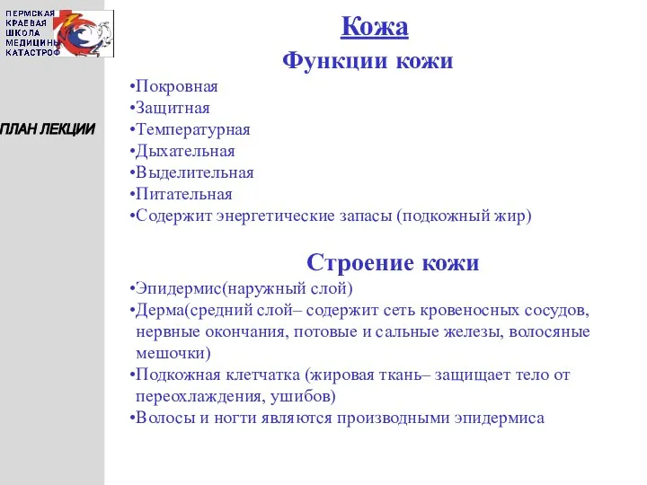 Кожа ПЛАН ЛЕКЦИИ Функции кожи Покровная Защитная Температурная Дыхательная Выделительная