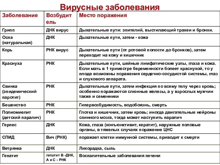 Вирусные заболевания