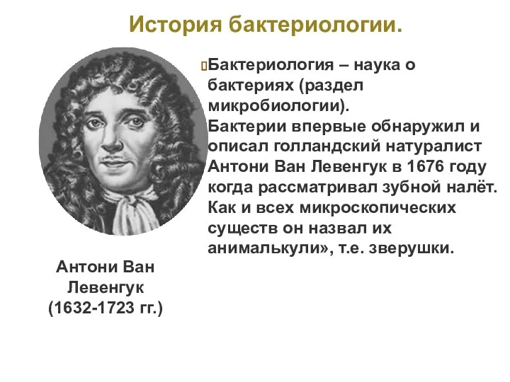 Бактериология – наука о бактериях (раздел микробиологии). Бактерии впервые обнаружил