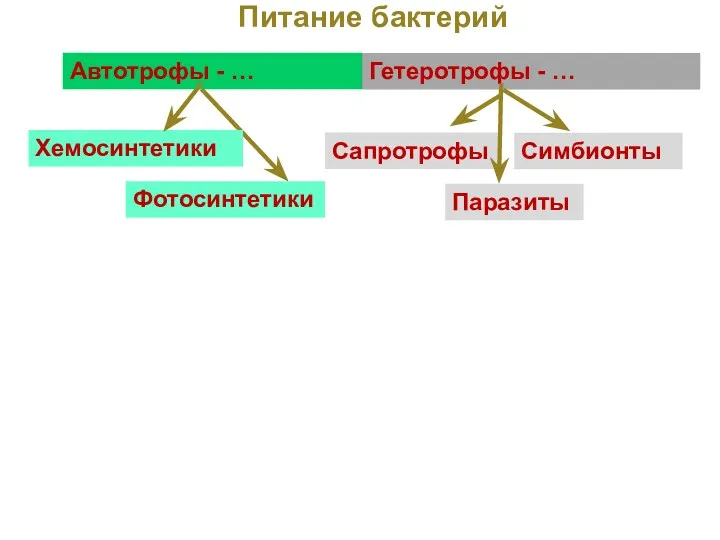 Фотосинтетики Хемосинтетики Питание бактерий Автотрофы - … Гетеротрофы - … Сапротрофы Симбионты Паразиты