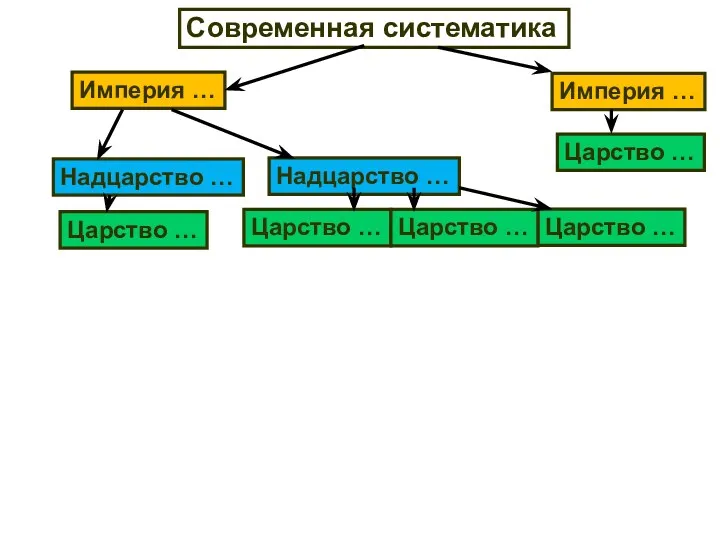 Современная систематика Империя … Империя … Царство … Надцарство …