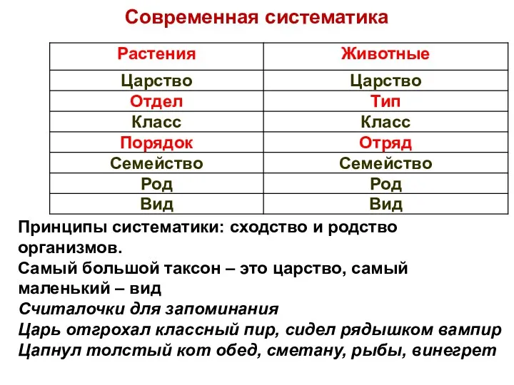 Современная систематика Принципы систематики: сходство и родство организмов. Самый большой