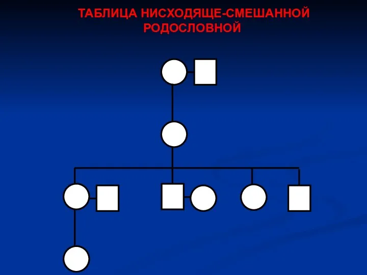 ТАБЛИЦА НИСХОДЯЩЕ-СМЕШАННОЙ РОДОСЛОВНОЙ