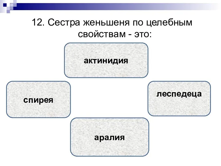 12. Сестра женьшеня по целебным свойствам - это: аралия актинидия спирея леспедеца