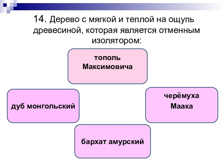 14. Дерево с мягкой и теплой на ощупь древесиной, которая является отменным изолятором: