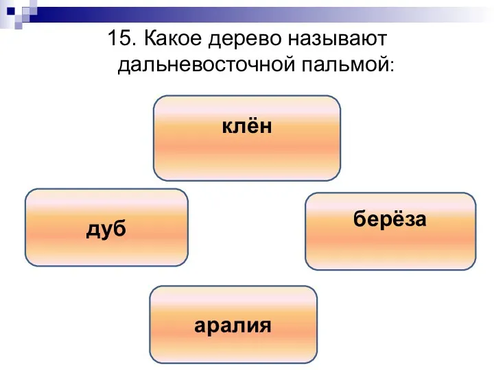 15. Какое дерево называют дальневосточной пальмой: аралия клён дуб берёза