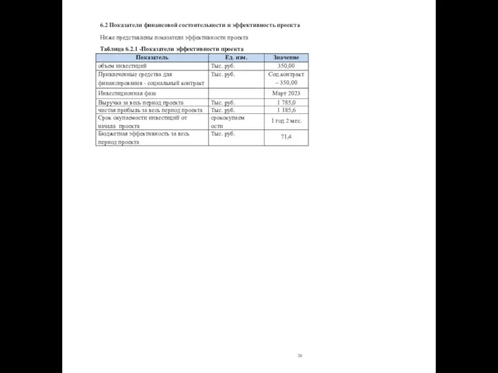 6.2 Показатели финансовой состоятельности и эффективность проекта Ниже представлены показатели