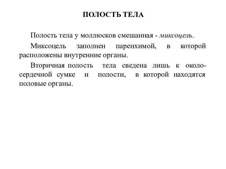 ПОЛОСТЬ ТЕЛА Полость тела у моллюсков смешанная - миксоцель. Миксоцель заполнен паренхимой, в