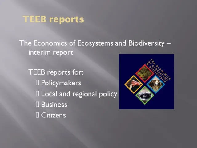 TEEB reports The Economics of Ecosystems and Biodiversity – interim