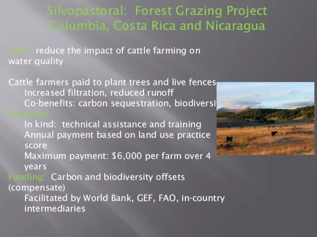 Silvopastoral: Forest Grazing Project Columbia, Costa Rica and Nicaragua Goal: