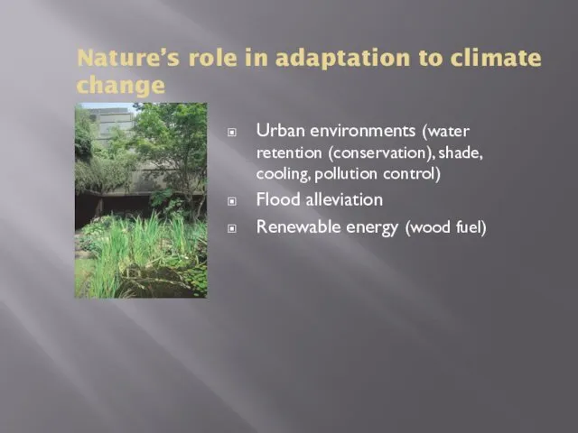 Nature’s role in adaptation to climate change Urban environments (water