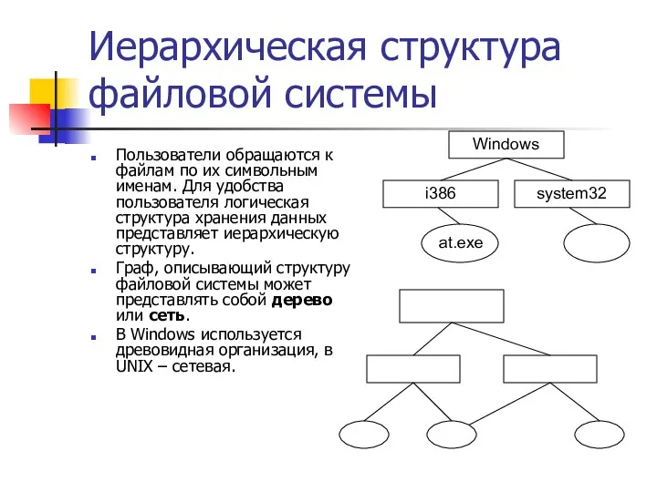 Иерархическая структура файловой системы Пользователи обращаются к файлам по их