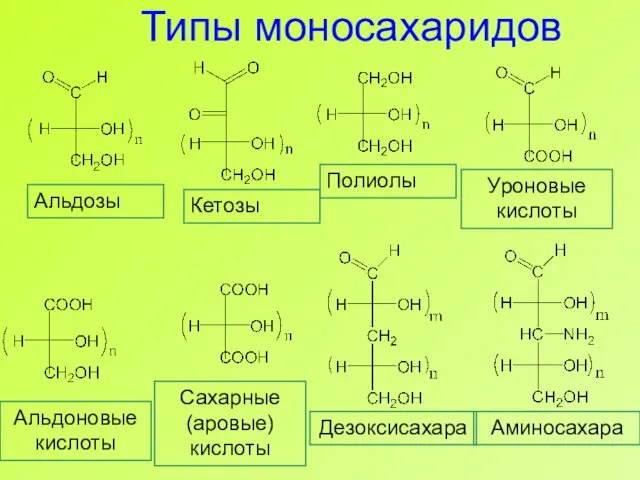 Типы моносахаридов Альдозы Кетозы Полиолы Уроновые кислоты Альдоновые кислоты Сахарные (аровые) кислоты Дезоксисахара Аминосахара