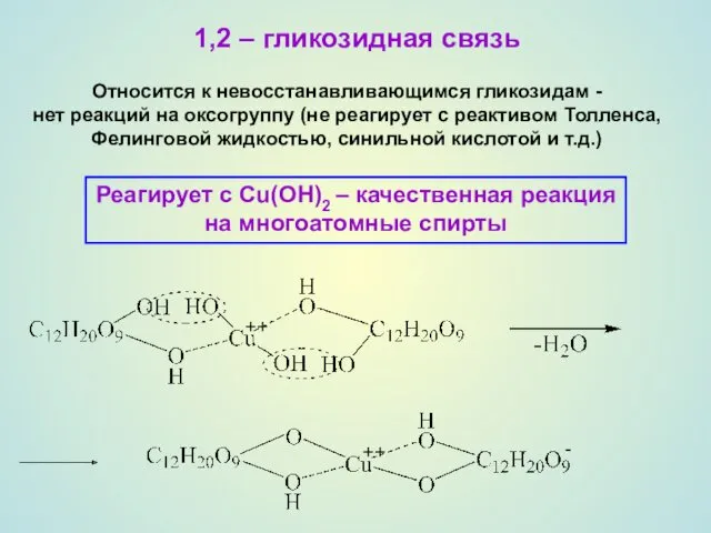 1,2 – гликозидная связь Относится к невосстанавливающимся гликозидам - нет реакций на оксогруппу