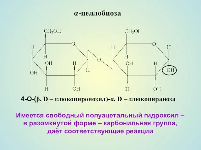 α-целлобиоза 4-O-(β, D – глюкопиронозил)-α, D – глюкопираноза Имеется свободный полуацетальный гидроксил –