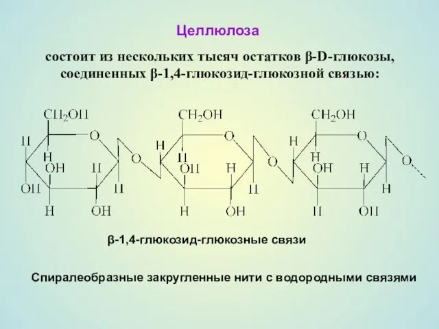 Целлюлоза состоит из нескольких тысяч остатков β-D-глюкозы, соединенных β-1,4-глюкозид-глюкозной связью: β-1,4-глюкозид-глюкозные связи Спиралеобразные