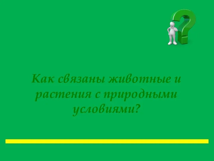 Как связаны животные и растения с природными условиями?