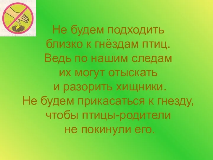 Не будем подходить близко к гнёздам птиц. Ведь по нашим