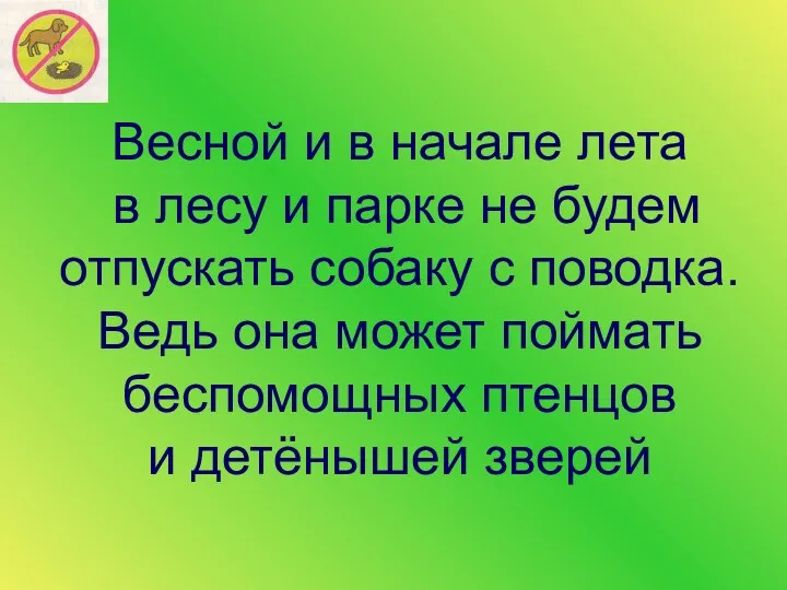 Весной и в начале лета в лесу и парке не