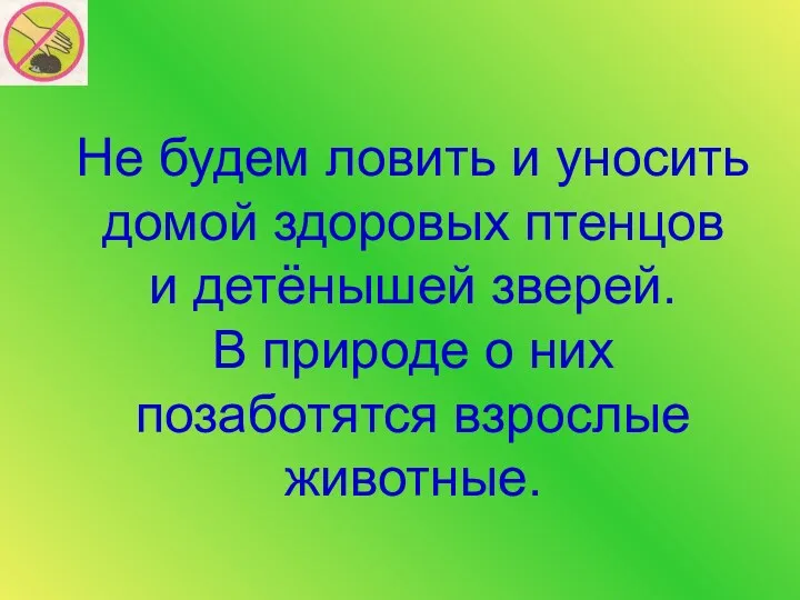 Не будем ловить и уносить домой здоровых птенцов и детёнышей