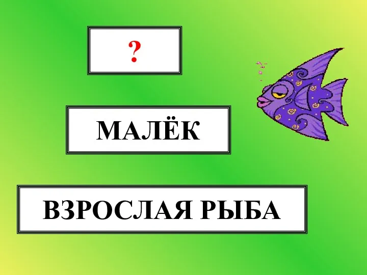 МАЛЁК ? ВЗРОСЛАЯ РЫБА ИКРА