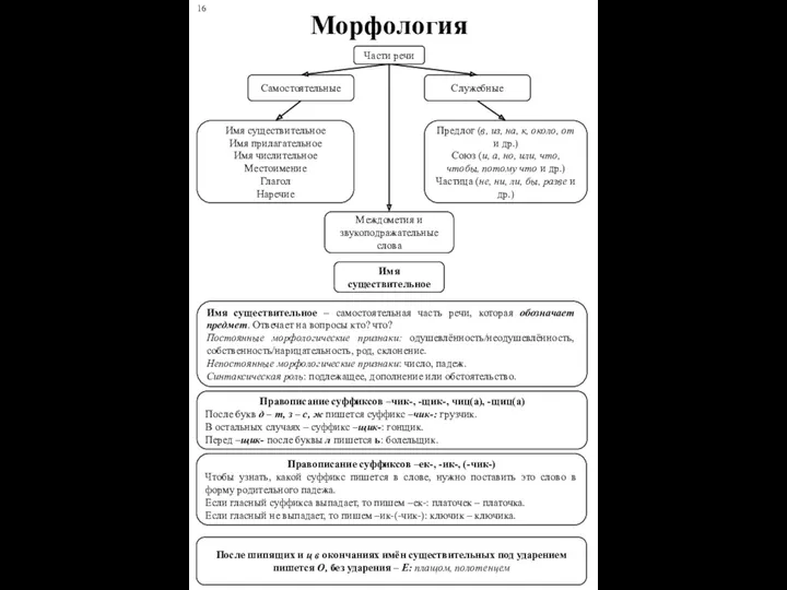 Морфология Части речи Самостоятельные Служебные Имя существительное Имя прилагательное Имя