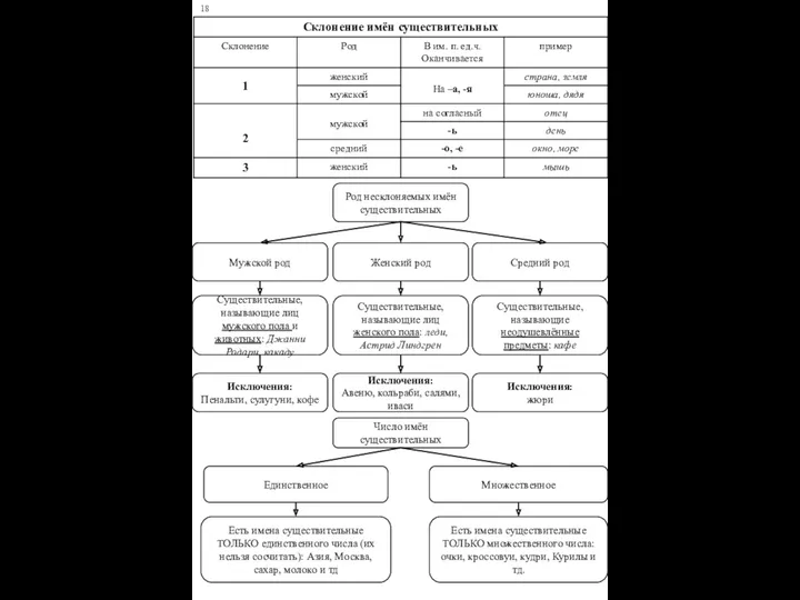 18 Род несклоняемых имён существительных Женский род Мужской род Средний