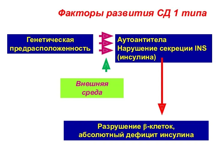 Факторы развития СД 1 типа Генетическая предрасположенность Аутоантитела Нарушение секреции