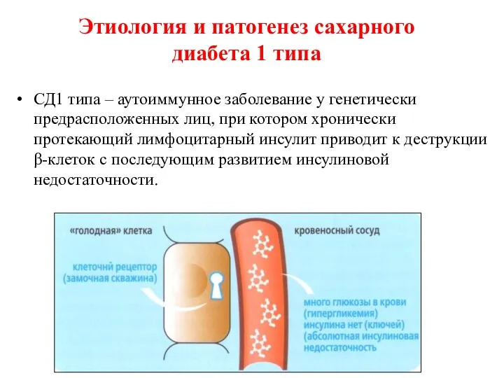 Этиология и патогенез сахарного диабета 1 типа СД1 типа –