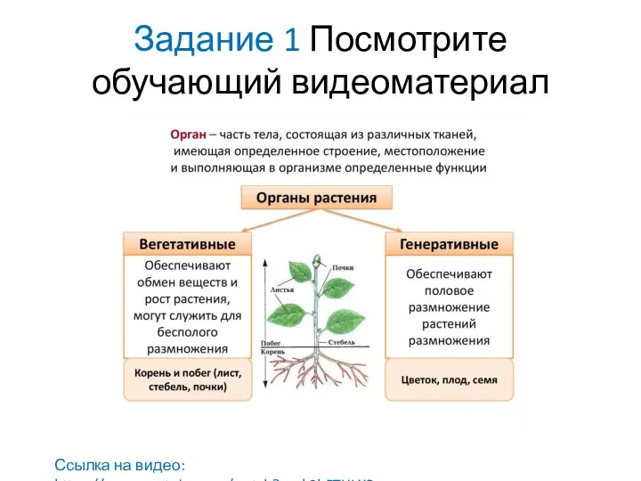 Задание 1 Посмотрите обучающий видеоматериал Ссылка на видео: https://www.youtube.com/watch?v=vk3hFTHLXPs