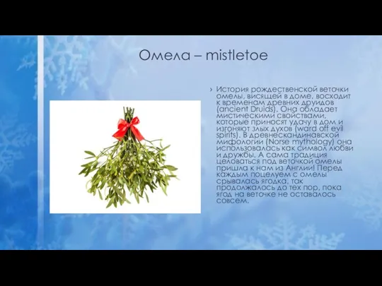 Омела – mistletoe История рождественской веточки омелы, висящей в доме, восходит к временам