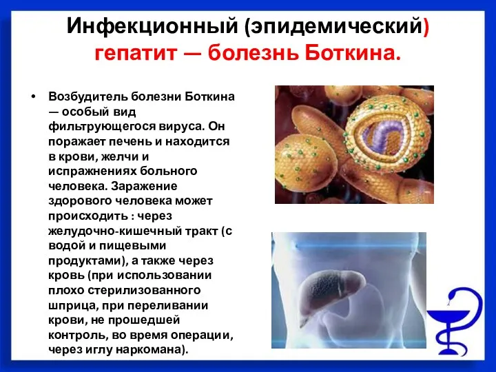 Инфекционный (эпидемический) гепатит — болезнь Боткина. Возбудитель болезни Боткина —