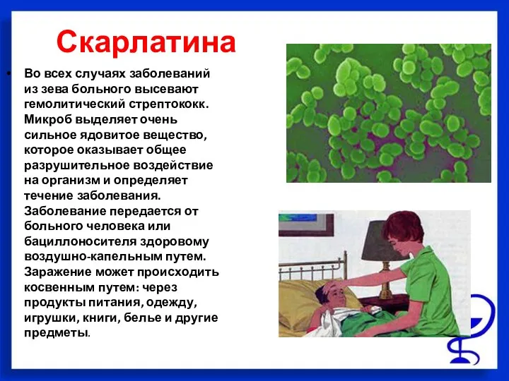 Скарлатина Во всех случаях заболеваний из зева больного высевают гемолитический