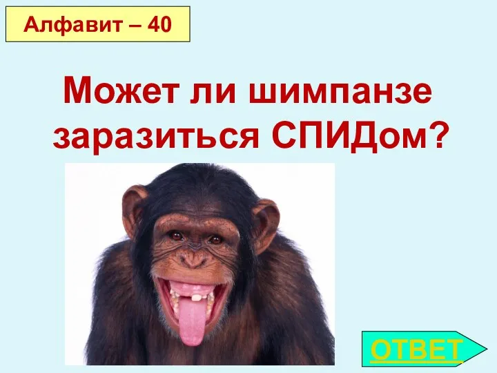 ОТВЕТ Алфавит – 40 Может ли шимпанзе заразиться СПИДом?