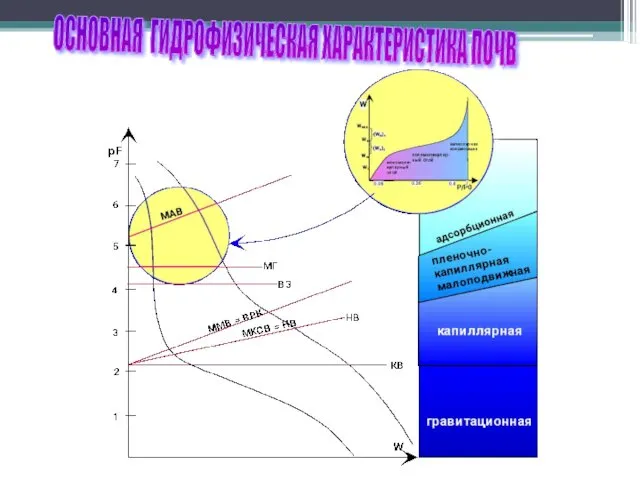 ОСНОВНАЯ ГИДРОФИЗИЧЕСКАЯ ХАРАКТЕРИСТИКА ПОЧВ