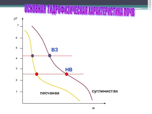 ОСНОВНАЯ ГИДРОФИЗИЧЕСКАЯ ХАРАКТЕРИСТИКА ПОЧВ НВ ВЗ песчаная суглинистая