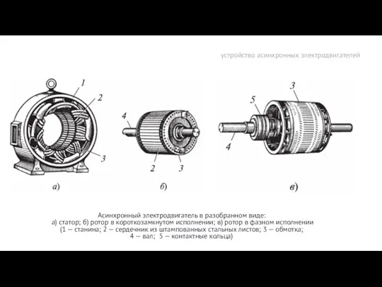 устройство асинхронных электродвигателей Асинхронный электродвигатель в разобранном виде: а) статор;