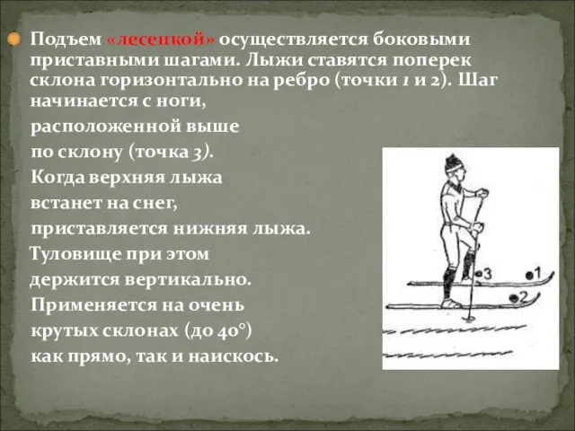 Подъем «лесенкой» осуществляется боковыми приставными шагами. Лыжи ставятся поперек склона