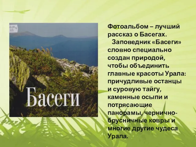 Фотоальбом – лучший рассказ о Басегах. Заповедник «Басеги» словно специально