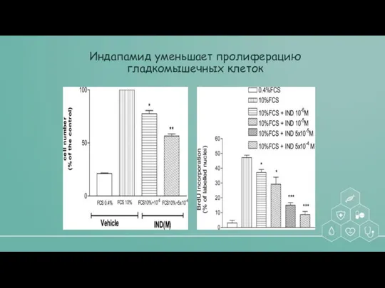 Индапамид уменьшает пролиферацию гладкомышечных клеток