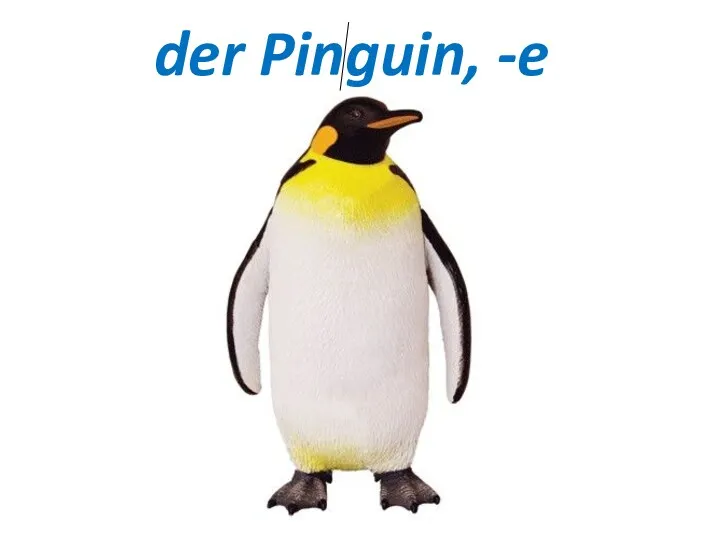 der Pinguin, -e